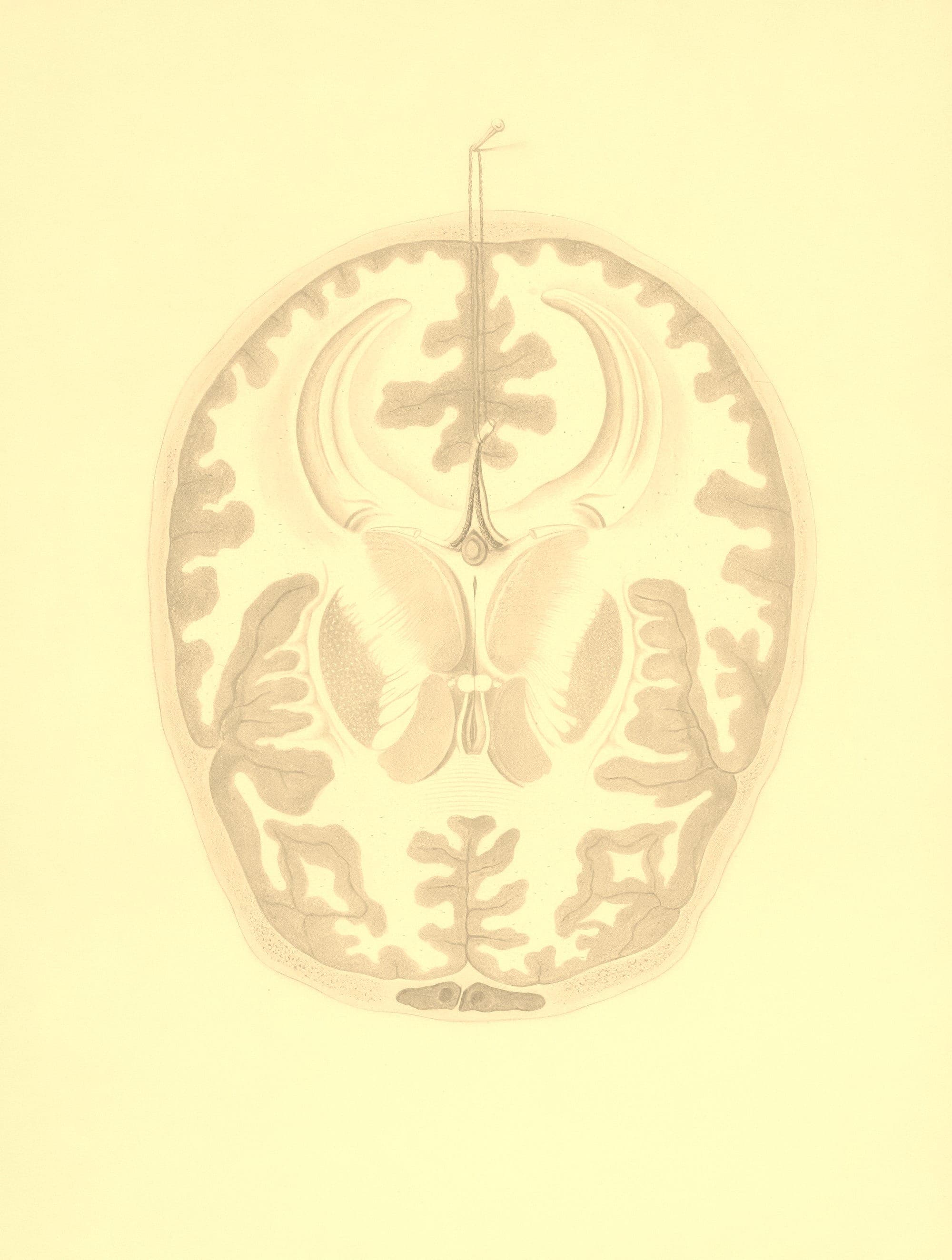 Demand for sincerity in an AI generated world